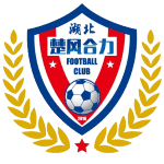 湖北楚风合力